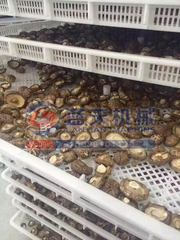 湖北香菇烘干機(jī)用戶(hù)現(xiàn)場(chǎng)