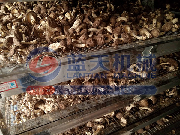 湖北香菇烘干機(jī)用戶(hù)現(xiàn)場(chǎng)